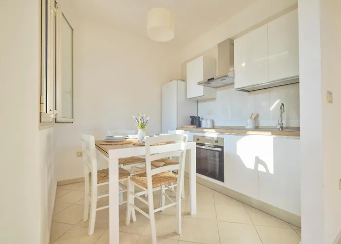 Lu Sule 奥利吉欧