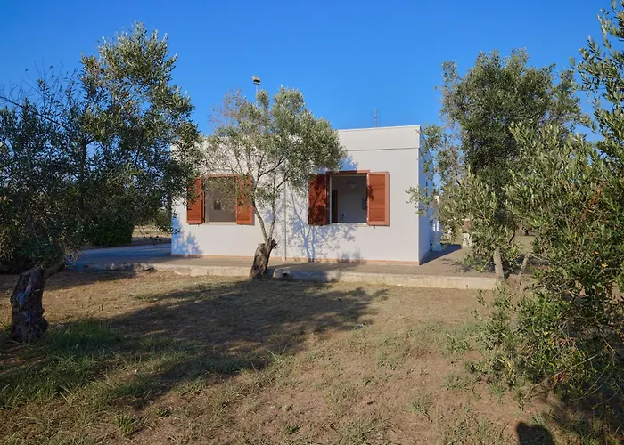 Lu Sule 奥利吉欧